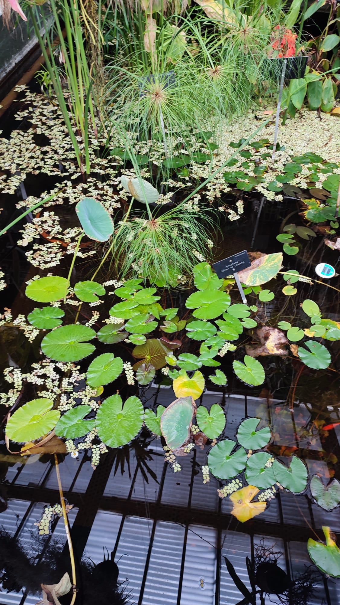 IMG-20230430-WA0069